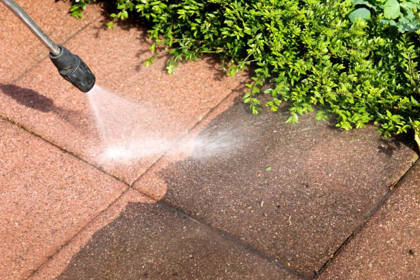 Best Affordable Pressure Washing  in Cary, NC